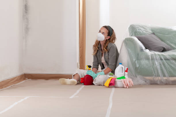Reliable Black Mold Remediation contractor in Lake Ann, MI by Car Mold Remediation